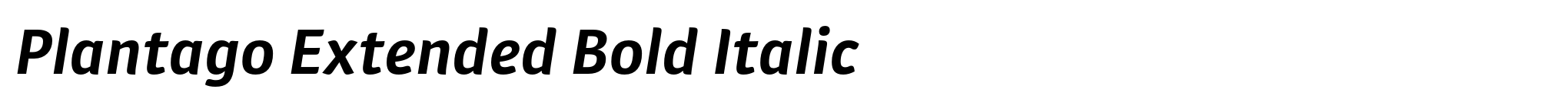 Plantago Extended Bold Italic image
